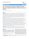 báo cáo khoa học: "  HC-Pro silencing suppressor significantly alters the gene expression profile in tobacco leaves and flowers"