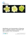 báo cáo khoa học: " Identification and characterization of flowering genes in kiwifruit: sequence conservation and role in kiwifruit flower development"