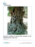 báo cáo khoa học: "Genomic profiling of plastid DNA variation in the Mediterranean olive tree"