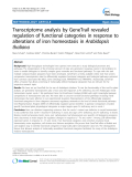 báo cáo khoa học: "Transcriptome analysis by GeneTrail revealed regulation of functional categories in response to alterations of iron homeostasis in Arabidopsis thaliana"
