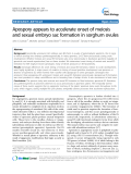 báo cáo khoa học: " Apospory appears to accelerate onset of meiosis and sexual embryo sac formation in sorghum ovules"