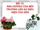 Giáo án điện tử môn sinh học: Sinh học lớp 12-  Cơ bản về Sinh Học lớp 12