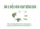 Giáo án điện tử môn sinh học: Sinh Học lớp 12- Điều hòa Gen