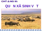 Giáo án điện tử Sinh học lớp 12: Bài 40