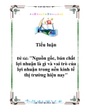 Tiểu luận: Nguồn gốc, bản chất lợi nhuận là gì và vai trò của lợi nhuận trong nền kinh tế thị trường hiện nay