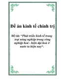 Đề án kinh tế chính trị: “Phát triển kinh tế trang trại nông nghiệp trong công nghiệp hoá - hiện đại hoá ở nước ta hiện nay“.