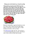 Những món ăn bài thuốc hay trị huyết áp thấp 
