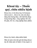 Khoai tây – Thuốc quý, chữa nhiều bệnh