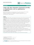 báo cáo khoa học: "  Large-scale data integration framework provides a comprehensive view on glioblastoma multiforme"