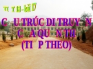 Giáo án điện tử môn sinh học: sinh học lớp 12- Bài 18: Cấu trúc di truyền của quần thể