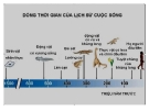 Giáo án điện tử môn sinh học: sinh học lớp 12- Phần IV: Tiến hóa