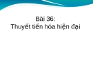 Giáo án điện tử môn sinh học: sinh học lớp 12- Bài 36: Thuyết tiến hóa hiện đại