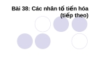 Giáo án điện tử môn sinh học: Sinh học lớp 12-Bài 38: Các nhân tố tiến hóa (tiếp theo)