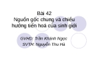 Giáo án điện tử môn sinh học: Sinh học lớp 12- Nguồn gốc chung và chiều hướng tiến hoá của sinh giới