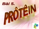 Giáo án điện tử Sinh học lớp 12: Bài 5. Protein