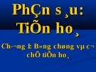 Giáo án điện tử môn sinh học: Sinh học lớp 12- Các bằng chứng tiến hóa - Tiền sinh hóa