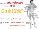 Giáo án điện tử môn sinh học: Sinh học lớp 12- Bài giảng công nghệ sinh học