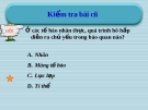 Giáo án điện tử sinh học: Sinh học lớp 12-Quang Hợp