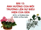 Giáo án điện tử sinh học: Sinh học lớp 12- Ảnh hưởng của môi trường