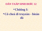 Giáo án điện tử sinh học: Sinh học 12- Trắc nghiệm chương 1 chương trình chẩn