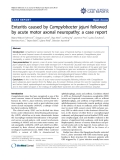 Báo cáo y học: " Enteritis caused by Campylobacter jejuni followed by acute motor axonal neuropathy: a case report"
