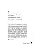 Chemical Degradation Methods for Wastes and Pollutants - Chapter 5