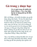 Gà trong y dược học