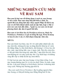NHỮNG NGHIÊN CỨU MỚI VỀ RAU SAM