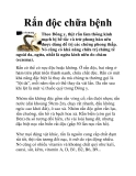 Rắn độc chữa bệnh