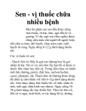 Sen - vị thuốc chữa nhiều bệnh