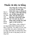 Thuốc từ dây tơ hồng