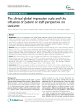 Báo cáo y học: " The clinical global impression scale and the influence of patient or staff perspective on outcome"