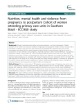 Báo cáo y học: " Nutrition, mental health and violence: from pregnancy to postpartum Cohort of women attending primary care units in Southern Brazil - ECCAGE study"