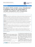 báo cáo khoa học: "  Do patients think cannabis causes schizophrenia? A qualitative study on the causal beliefs of cannabis using patients with schizophrenia"