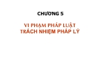 Chương 5: Vi phạm pháp luật trách nhiệm pháp lý