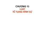 Chương 13: Luật tố tụng hình sự