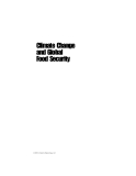 Climate Change and Global Food Security - Section 1