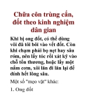 Chữa côn trùng cắn, đốt theo kinh nghiệm dân gian