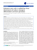 báo cáo khoa học: " Embryonic stem cells in scaffold-free threedimensional cell culture: osteogenic differentiation and bone generation"