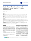 báo cáo khoa học: " Effects of enamel matrix derivative and transforming growth factor-b1 on human osteoblastic cells"