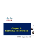 CCNA_Spanning Tree protocol