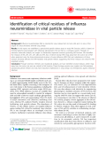 Báo cáo y học: " Identification of critical residues of influenza neuraminidase in viral particle release"