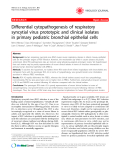 Báo cáo y học: "Differential cytopathogenesis of respiratory syncytial virus prototypic and clinical isolates in primary pediatric bronchial epithelial cells"