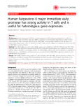 Báo cáo y học: " Human herpesvirus 6 major immediate early promoter has strong activity in T cells and is useful for heterologous gene expression"