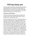 Phối hợp kháng sinh