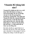 Vitamin B2 dùng khi nào?