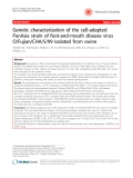 Báo cáo y học: "Genetic characterization of the cell-adapted PanAsia strain of foot-and-mouth disease virus O/Fujian/CHA/5/99 isolated from swine"