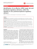 Báo cáo y học: "Identification of an effective siRNA target site and functional regulatory elements, within the hepatitis B virus posttranscriptional regulatory element"