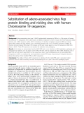 Báo cáo y học: "Substitution of adeno-associated virus Rep protein binding and nicking sites with human Chromosome 19 sequences"