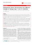 Báo cáo y học: " Phylogenetic history demonstrates two different lineages of dengue type 1 virus in Colombia"